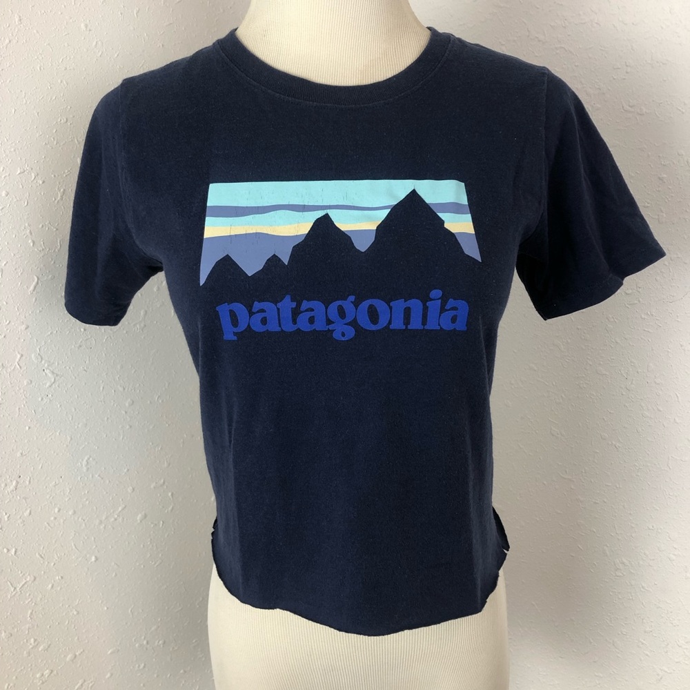 Patagonia Mountain Blue Crop Top T-Shirt XS